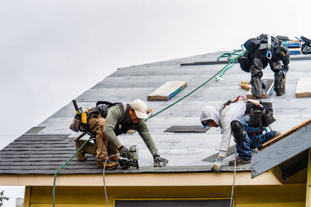 Professional Storm Damage Roof Repair technician working in Newell, WV